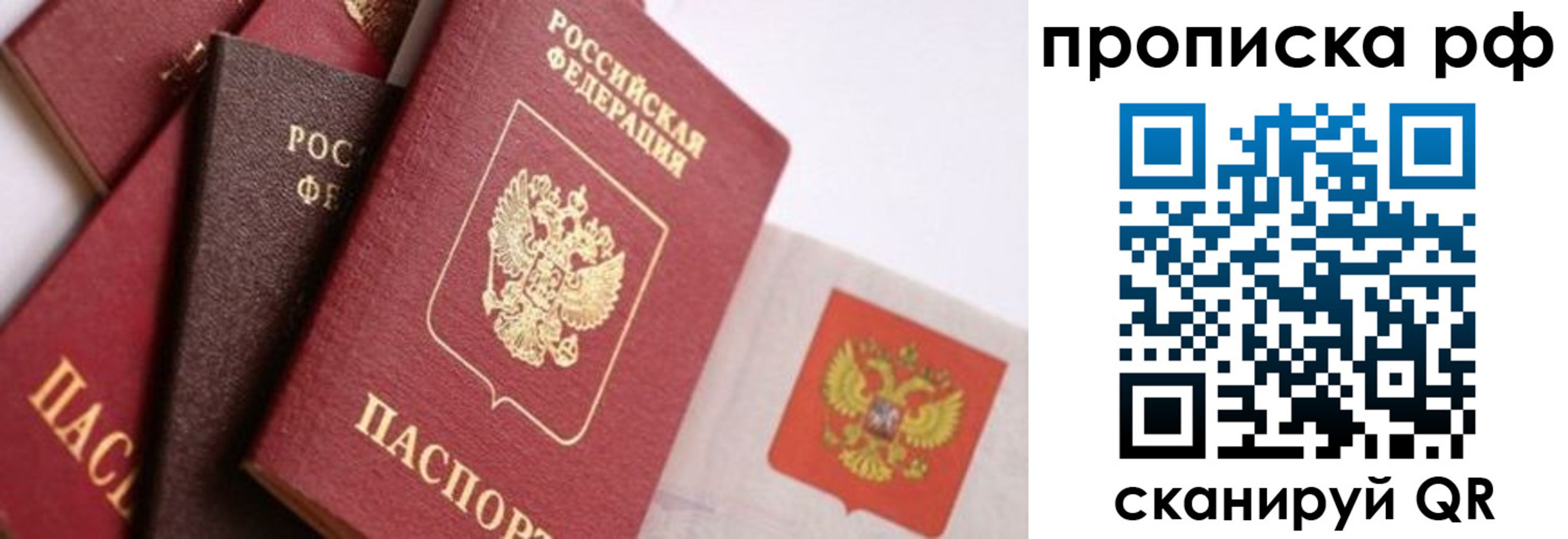 прописка ребенка в Зеленоградске