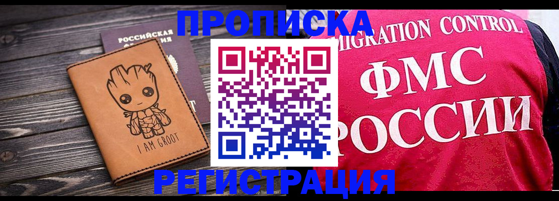 прописка 2025 в Зеленоградске